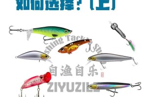 路亚钓鱼装鱼的必备工具与技巧（探索路亚钓鱼，让你的装鱼技术更上一层楼）