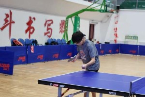 乒乓球——追求技巧与快乐（精湛技艺展示华夏风采）