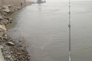 雨天路亚钓鱼的利与弊（探讨路亚钓鱼在雨天的优势与限制）