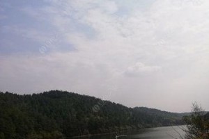 小牛钓鱼度假村（亲近自然，放松身心，尽情畅钓）