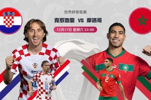 世界杯历史上的季军赛（主队利用主场优势在季军赛中展现出色实力）