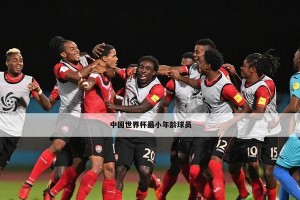 中国球员在世界杯进球总览（中国球员在世界杯赛场上的辉煌进球纪录）