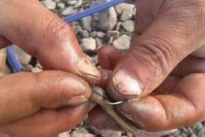 探秘路亚抛竿后的钓鱼技巧（路亚抛竿技巧解析，提升钓鱼成功率）