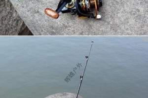 以矶竿算路亚，挑战钓鱼极限（专注技术与策略，实现完美钓鱼体验）
