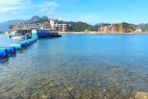 海钓攻略（捕获丰富海洋资源，体验刺激划破浪涛的快感）