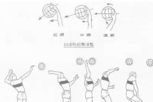 排球接发球的站位要领（技术要点与战术指导）