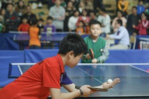 提升乒乓球对战技巧的关键要素（打造无懈可击的乒乓球对战技能）