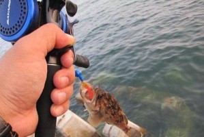 路亚钓鱼水深选择的重要性（掌握合适的水深，提升钓鱼成功率）
