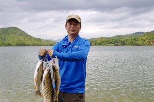 探寻平阳县水头镇钓鱼路亚的乐趣（发现水头镇钓鱼路亚的新魅力）