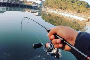 路亚钓鱼的最佳时间选择（揭秘路亚钓鱼的黄金时段及其关键因素）