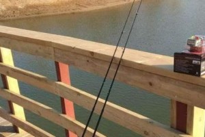 探讨以路亚钓鱼要仰竿收线的重要性（提升钓鱼效果的关键技巧-仰竿收线）