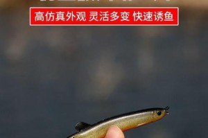 以路亚真泥鳅钓鱼的高效挂法（提升成功率的技巧与经验分享）