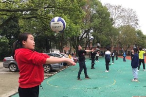 初中排球动作要领简短总结（掌握初中排球基本技巧，迈向成功之路）
