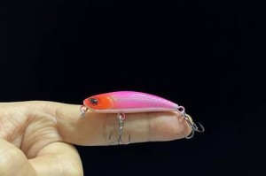 在家自制路亚饵料钓鱼技巧（教你在家制作简易又有效的路亚饵料，轻松提升钓鱼成功率！）