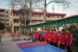 乒乓球入门教学方案（全面掌握乒乓球技巧，成为优秀的球员）