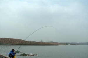 探寻最佳路亚钓鱼海岸（如何选择适合路亚钓鱼的海岸？）