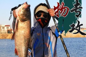 冬日路亚黑坑钓鱼指南（挑战冬季低温，探寻路亚黑坑的鱼群宝藏）