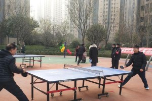 乒乓球对战技巧（掌握关键技巧，成为乒乓球高手）
