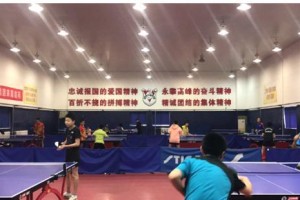 乒乓球与爱怀（挥拍间的民族荣耀）
