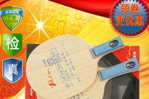 乒乓球接快攻技巧（掌握关键技巧提高应对速度，让你在乒乓球场上游刃有余）