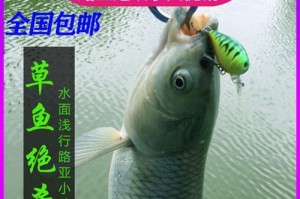 夏天路亚钓鱼的最佳饵料选择（夏天钓鱼饵料的种类和使用技巧，助您丰收满载）