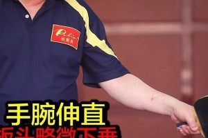 乒乓球技巧大揭秘（掌握这些技巧，让你在乒乓球赛场上无往不利！）