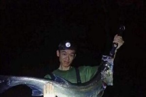 夜钓路亚不打灯的技巧（掌握关键技巧，迎接黑夜中的丰收）