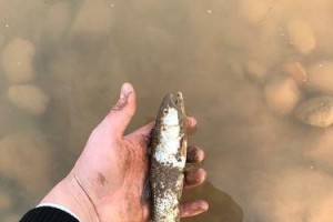 冬天路亚钓鱼的钓位选择指南（寻找最佳钓点，提升冬季路亚钓鱼成功率）