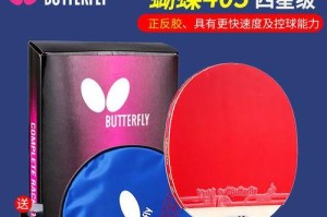 乒乓球进阶攻略（提高乒乓球水平的有效方法与技巧）