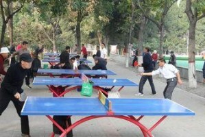 乒乓球断崖式发球技巧——提升你的战术优势（创新发球方式让你携手胜利）