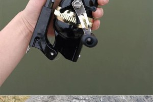 新手必读！路亚钓鱼竿组装全攻略（从零开始，教你如何组装路亚钓鱼竿，让你成为路亚钓鱼高手）