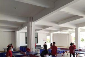 乒乓球专项考试训练的关键技巧与方法（如何提高乒乓球技术水平，备战专项考试？）