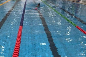 游泳教师面试技巧——如何成为一名成功的游泳教练（掌握面试突破关键，成就游泳教育梦想）