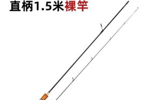 探秘钓鲤鱼的路亚竿技巧（用路亚竿钓鲤鱼，让你的钓鱼之旅更加精彩）