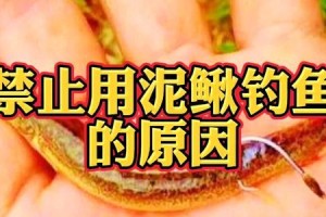 路亚假饵泥鳅（探索路亚假饵泥鳅在钓鱼中的应用及技巧）