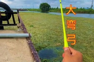 回水湾打路亚，钓鱼的好去处（体验刺激路亚钓鱼，畅享大自然的乐趣）