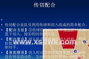 篮球战术基础配合5v5防守（团队配合下的防守策略与技巧）