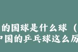 乒乓球（探究乒乓球发展的历程及其在全球的影响力）