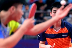 乒乓球项目的分类及特点（细数乒乓球项目的多样性与魅力）