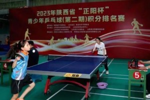 乒乓球扣球技巧要领（掌握乒乓球扣球的关键技术）