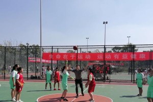 提高小学女子篮球防守能力的战术策略（精确阻挡、积极犯规、队形调整，让小学女子篮球防守更出色）