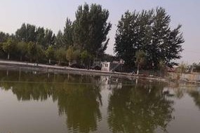 探索宋庄路亚钓鱼场的世界（一场钓鱼之旅，释放身心的放松乐园）