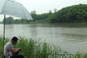 早上四五点路亚（探索黎明的宝藏，享受钓鱼的乐趣）