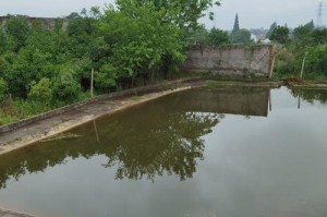 为什么鱼池不让用路亚钓鱼？（探究鱼池禁止路亚钓鱼的原因及影响）