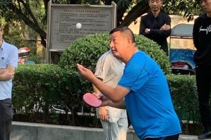 乒乓球比赛的技巧与策略（掌握这些技巧，成为乒乓球比赛的王者）