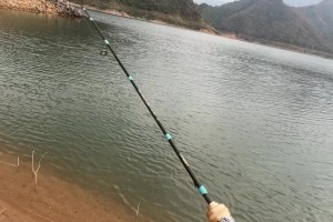 夜钓路亚的乐趣与技巧（探索深夜的神秘世界，寻找鱼儿的美味盛宴）