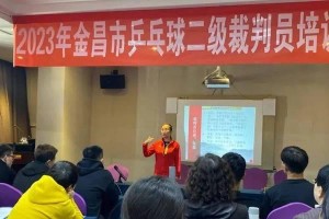 乒乓球副裁判员的职责和要求（职责明确，关键在公正和专业）