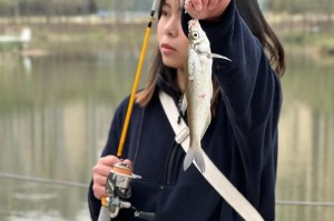 小钓手的路亚钓鱼探险（用想象力和技巧，9岁小孩也能成为优秀的路亚钓手！）