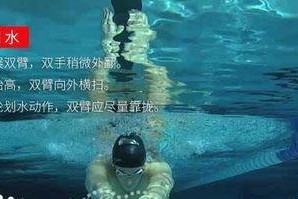 游泳中换气技巧的正确使用方法（提高游泳换气效率，享受游泳的乐趣）