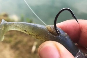如何选择适合的路亚钓鱼饵料（从种类到颜色，让你的路亚钓鱼更加有效）